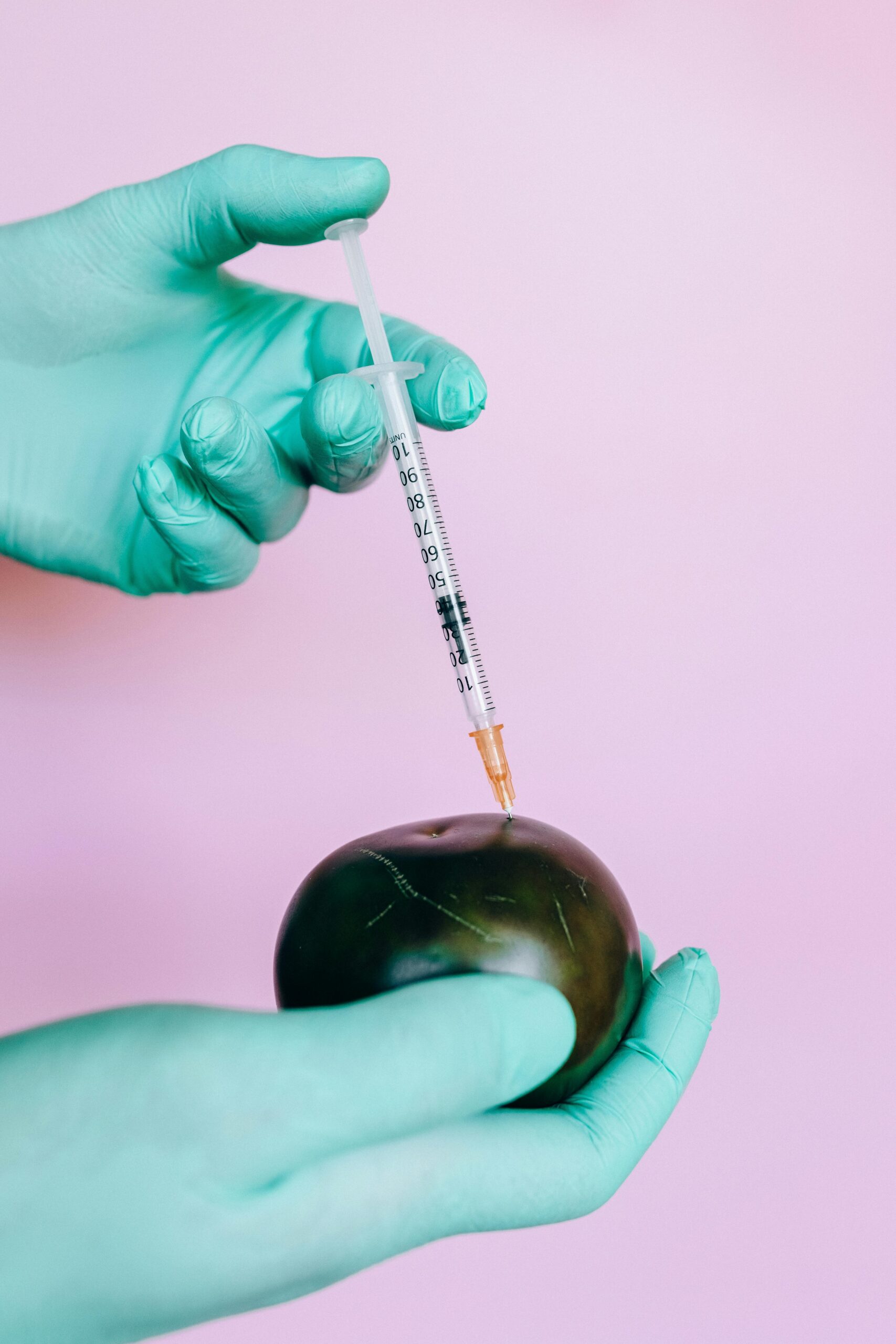 Close-up of a syringe injecting a tomato, symbolizing genetic modification or medical research.